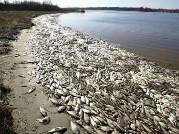 Bạn sẽ làm gì khi rủi ro, tai họa xảy đến?